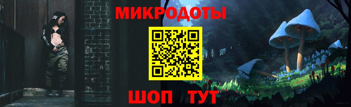 Псилоцибиновые грибы Psilocybine cubensis Лесной